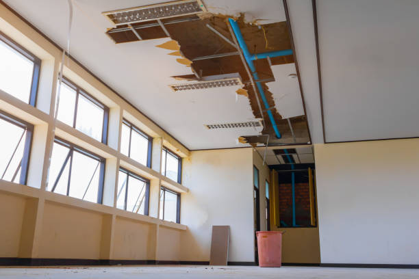 Best Basement water damage restoration  in Huntley, IL