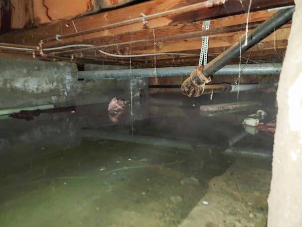 Best Water damage restoration process  in Huntley, IL