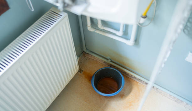 Best Local water damage restoration  in Huntley, IL